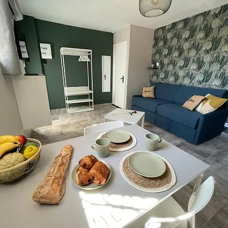 Nid Catalan Climatise Jardin Centre-ville * Perpignan