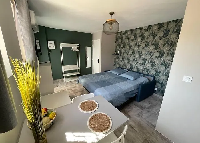 Nid Catalan Climatise Jardin Centre-ville * Περπινιάν