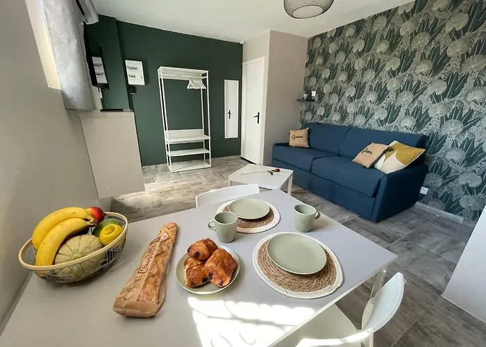 Nid Catalan Climatise Jardin Centre-ville * Περπινιάν