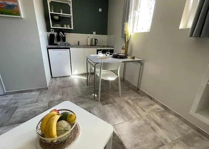 Nid Catalan Climatise Jardin Centre-ville Περπινιάν